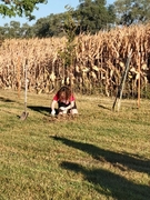 Youth planting tree at Wahoo Sunrise Cemetery