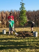 Youth planting tree at Wahoo Sunrise Cemetery