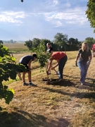 Youth planting tree at Wahoo Sunrise Cemetery